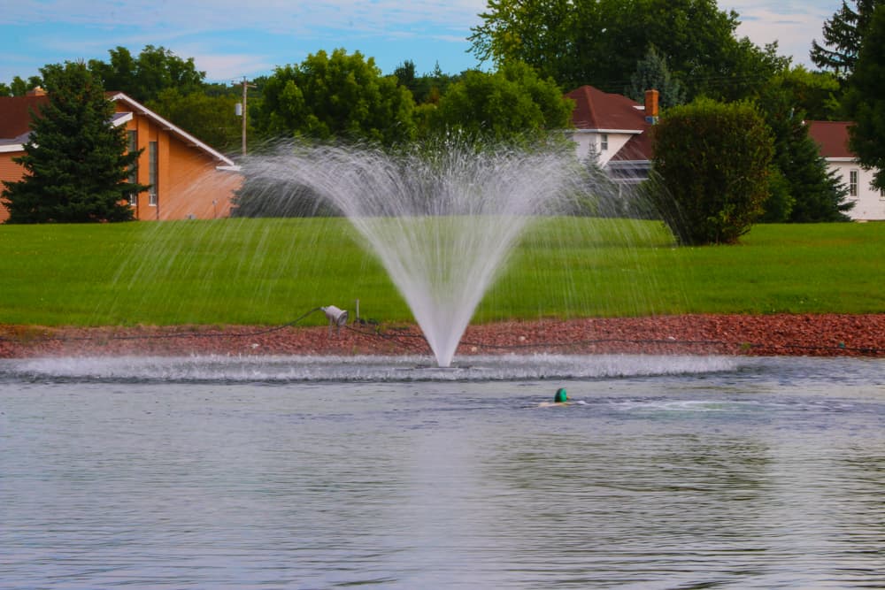 Aquamaster Decorative Series, 1/2HP 120V