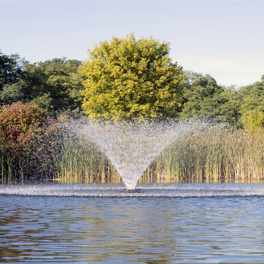 Fountain in a lake with trees and reeds in the background